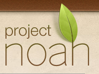 Project Noah