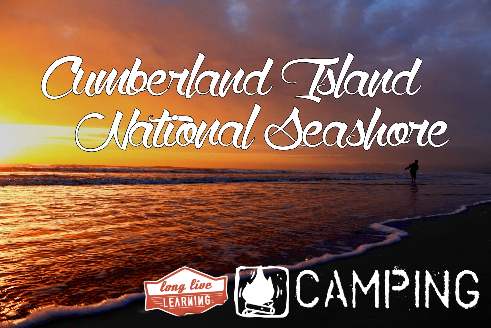 Camping Cumberland Island National Seashore with Long Live Learning