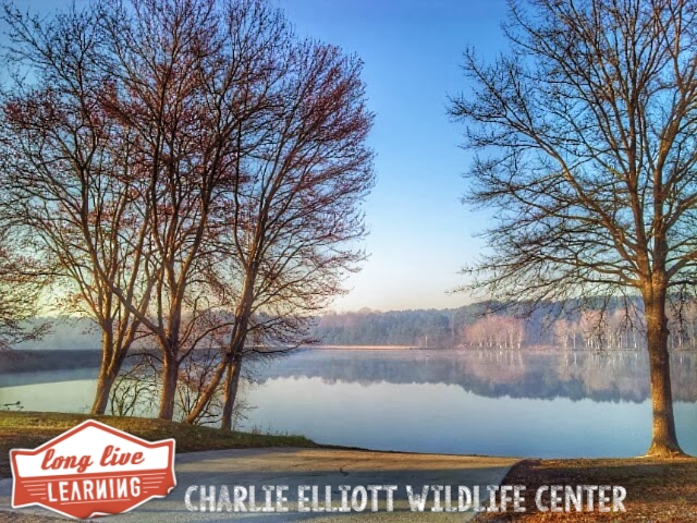Charlie Elliott Wildlife Center Lake