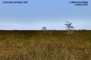 Everglades National Park: My Journey to Back Country Kayak Camping #girl2glades