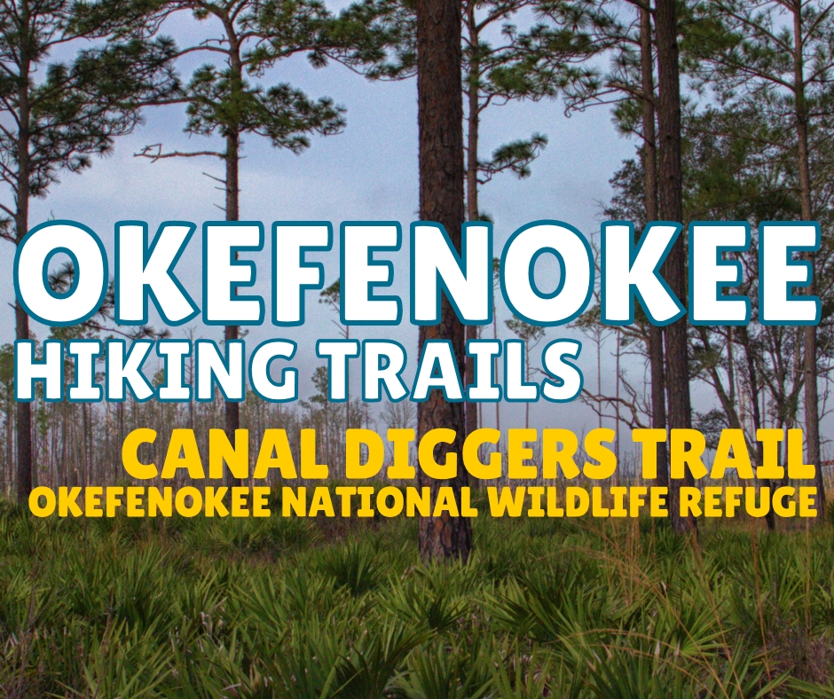 Okefenokee Hiking Trails - Canal Diggers Trail