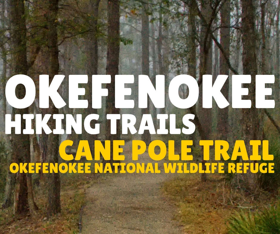 Okefenokee Hiking Trails - Cane Pole Trail