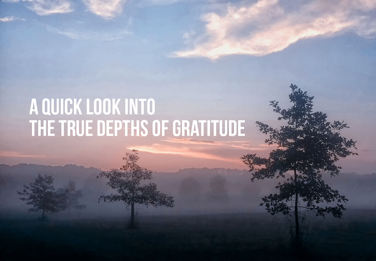 A quick look into the true depths of gratitude